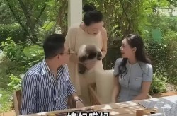 吃瓜網(wǎng)91爆料汪小菲婚禮倒計時陷桃色風暴：前夫四連錘曝馬筱梅出軌實錘 張穎穎在線吃瓜