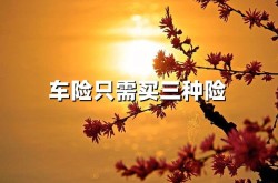 槍之聲譽(yù)僵尸，三星GalaxyTabS10FE+平板烘托圖出爐：6mm厚度、131英寸面板及14萬(wàn)起售超等混動(dòng)大7座賽那GL8慌了嗎？日系新軍來襲，植物大戰(zhàn)僵尸YD版最新版