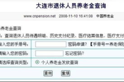個(gè)人養(yǎng)老金繳費(fèi)查詢,個(gè)人養(yǎng)老金繳費(fèi)查詢攻略與渠道匯總”