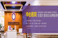 寵物醫(yī)院 加盟,品牌選擇、投資預(yù)算與成功秘訣解析