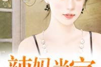 小說(shuō)辣媽的娛樂(lè)生活,辣媽辣舞，娛樂(lè)人生