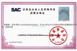 證券業(yè)從業(yè)人員資格考試,全面解析與備考指南